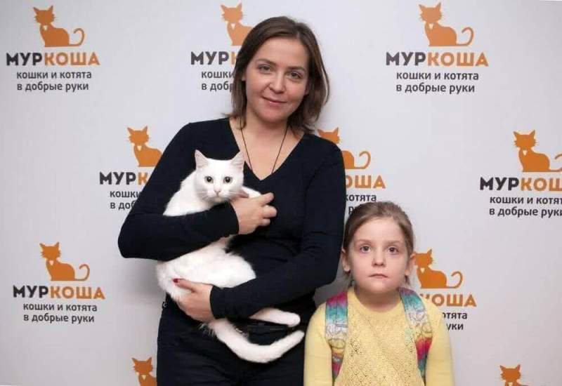 30 июля в Москве пройдет выставка кошек в добрые руки